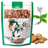 Hapsmiley Rhubarb Root (Dahuang/??) Dried Herbal Root - Bulk Herbs - 3.5 oz (100g)
