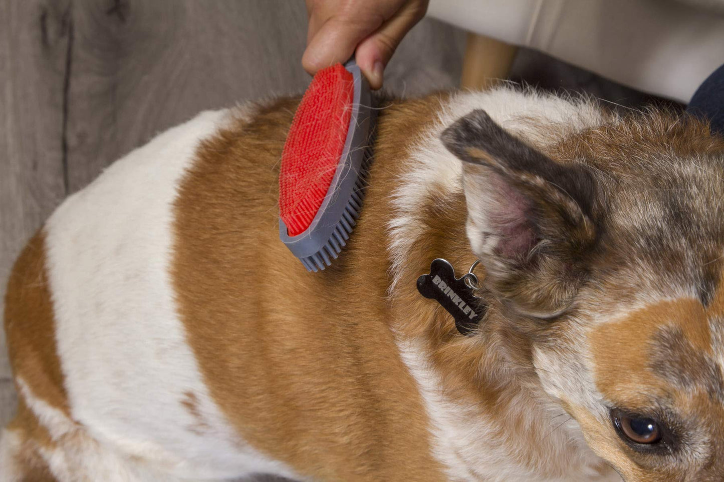 FURemover Duo Pet Hair Rubber Brush, Dual Sided to Easily Remove Fur and Lint from Clothing and Upholstery, Thick Bristles Groom Dogs and Cats, Easy