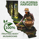 Kinoko USDA Organic Mushroom Coffee 30 Servings with MCT Oil, Instant Creamy Coffee Mix with 7 Adaptogenic Mushrooms for Focus, Energy & Wellness, USA