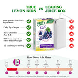 TRUE LEMON KIDS Groovy Grape (10 Packets) for Hydration - No Preservatives, No Artificial Flavors, No Artificial Sweeteners - Low Sugar Water