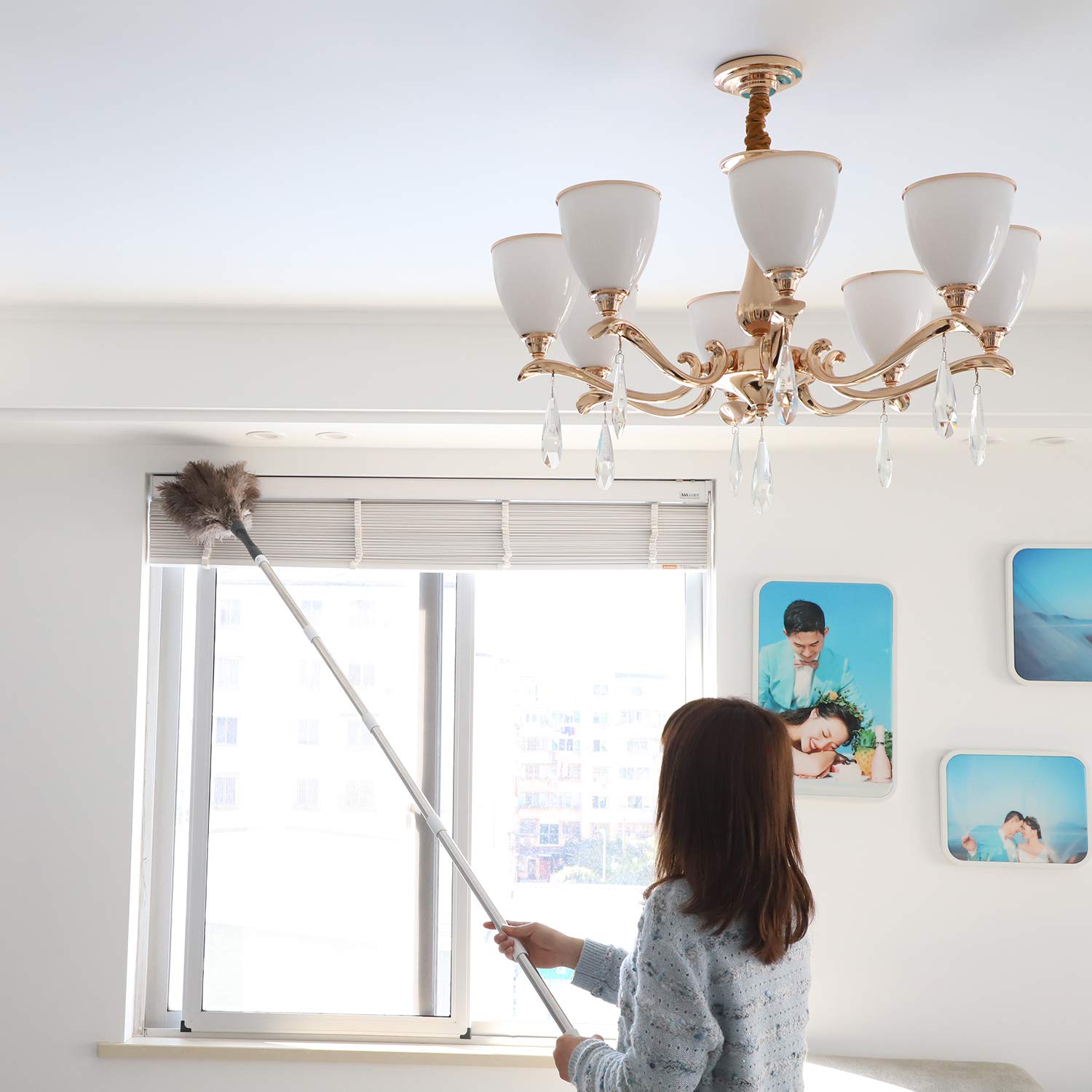 Midoneat Gray Ostrich Feather Duster with 71 Inch Extendable Pole, Microfiber Duster for Home Cleaning