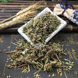 Zercumm Bulk New Western Food Seasoning and Spice Raw Materials from Oregano Grass Soil Inchage C