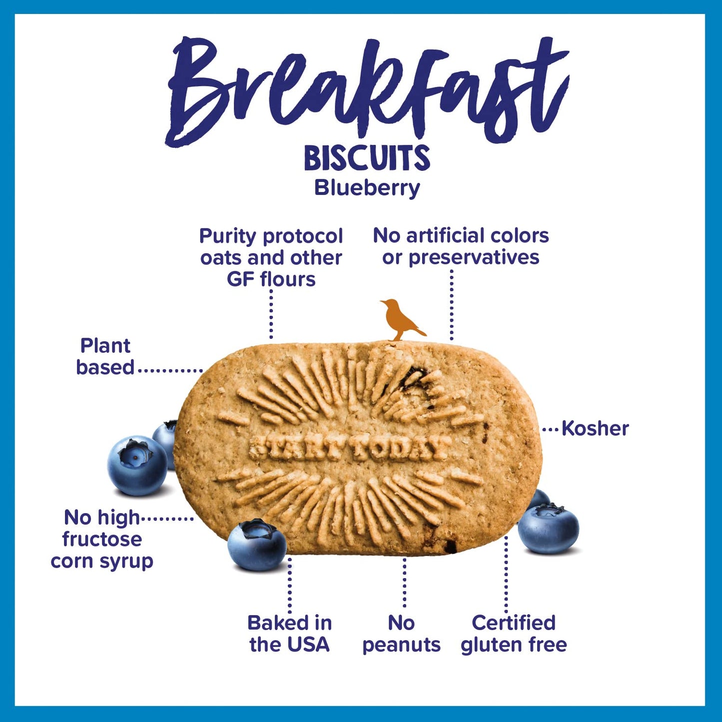 Goodie Girl, Blueberry Breakfast Biscuits - Gluten Free, Peanut Free, Vegan, Kosher - Includes 4 Boxes, 16 Packs Total