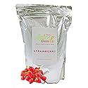 Frozen Yogurt Pre Mix Dasher's Spice & Beans | Gluten Free & Low Fat | (70.4 oz., Strawberry)