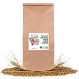 Organic Hard White Wheat Berries - 10lbs