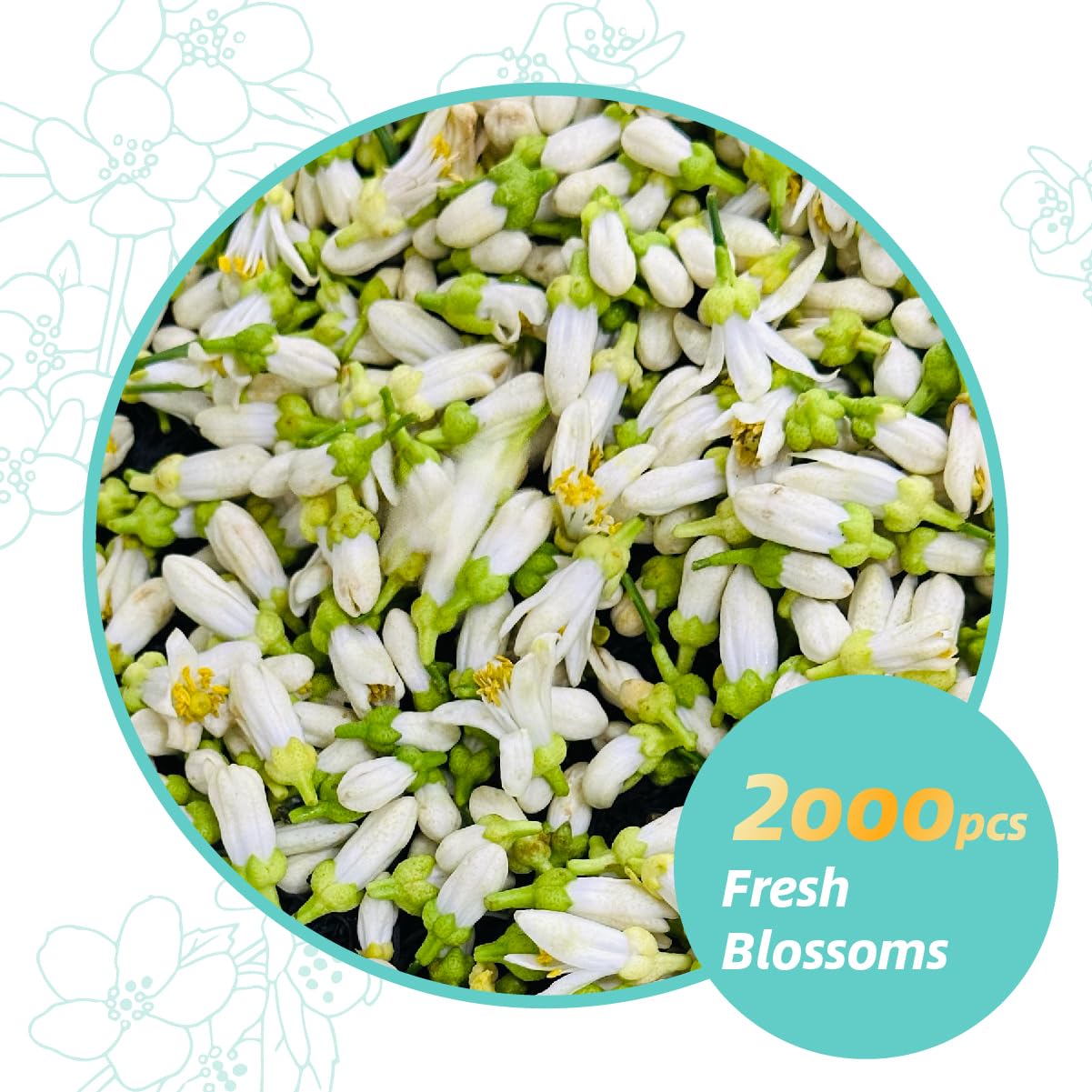 Essencesip Citrus Blossom Black Tea Loose Leaf, 3oz Tin - Traditional Floral Scenting with Pomelo Blossoms, Refreshing Aroma and Smooth Finish,Iced or