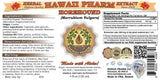 Hawaii Pharm Horehound (Marrubium vulgare) Liquid Extract 4 Oz