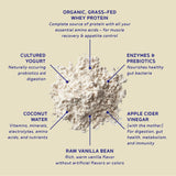 BBfL Grass-Fed Whey Protein Shake - 21g rBGH-Free Protein, Vanilla Bean + Apple Cider Vinegar, Prebiotics, Digestive Enzymes, Supports Gut Health