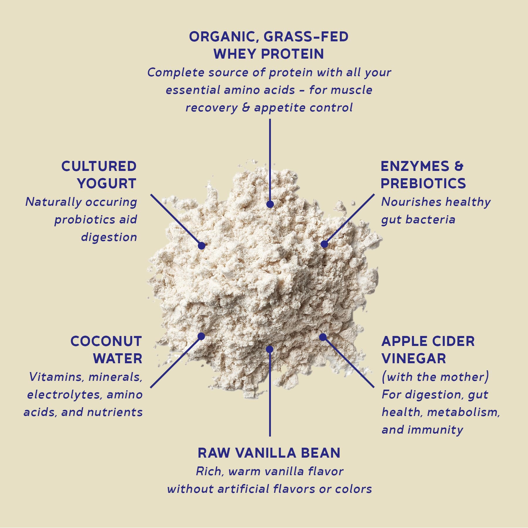 BBfL Grass-Fed Whey Protein Shake - 21g rBGH-Free Protein, Vanilla Bean + Apple Cider Vinegar, Prebiotics, Digestive Enzymes, Supports Gut Health