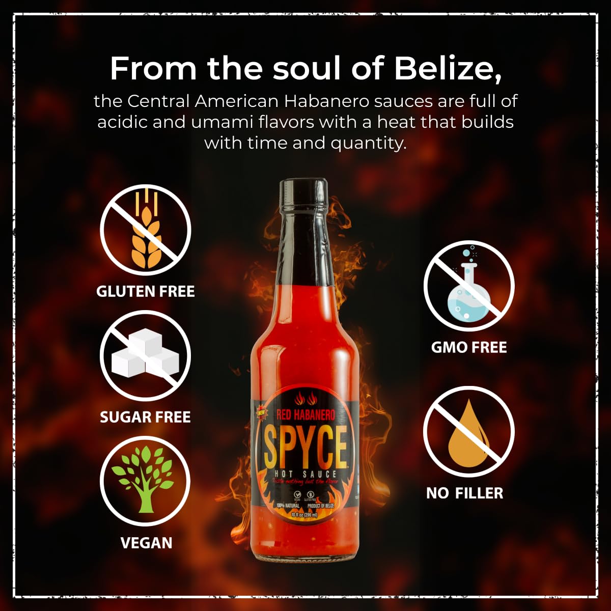SPYCE Habanero Hot Sauce, Vegan, Gluten Free, Low Sodium, Non-GMO, No MSG, No Sugar, No Filler (10 oz, Red Habanero)