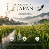 Premium Kounotori All-Natural Koshihikari Sushi Rice - Free of Pesticides & Chemical Fertilizers! Luxurious Special A Grade Rice, Exclusively Grown in Hyogo Prefecture, Japan ?????? ????? - 11 Pounds