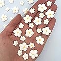 Royal Icing Blossoms | Mini Edible Flowers | Edible Roses | White Wedding Flowers | Cake Sprinkles | Bulk Sprinkle Mix | by Simply Sucré (54 Flowers