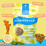 Lil Bucks Clusterbucks Grain-Free Superfood Clusters made with Sprouted Buckwheat and Adaptogens, Gluten Free Snack (Golden Chai w Lemon, 6 Pack)