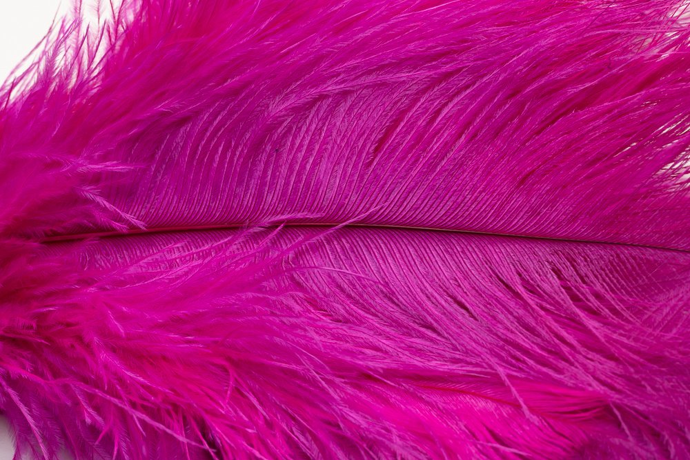 AVIAN COLOR FEATHER DUSTER. (Hot Pink)