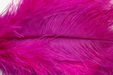 AVIAN COLOR FEATHER DUSTER. (Hot Pink)