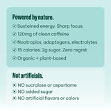 NOOMA - Performance Energy Drink - Pre Workout Drink - Nootropics, Adaptogens + Electrolytes - 120mg Clean Caffeine, 15 Calories & 2g Sugar - Variety