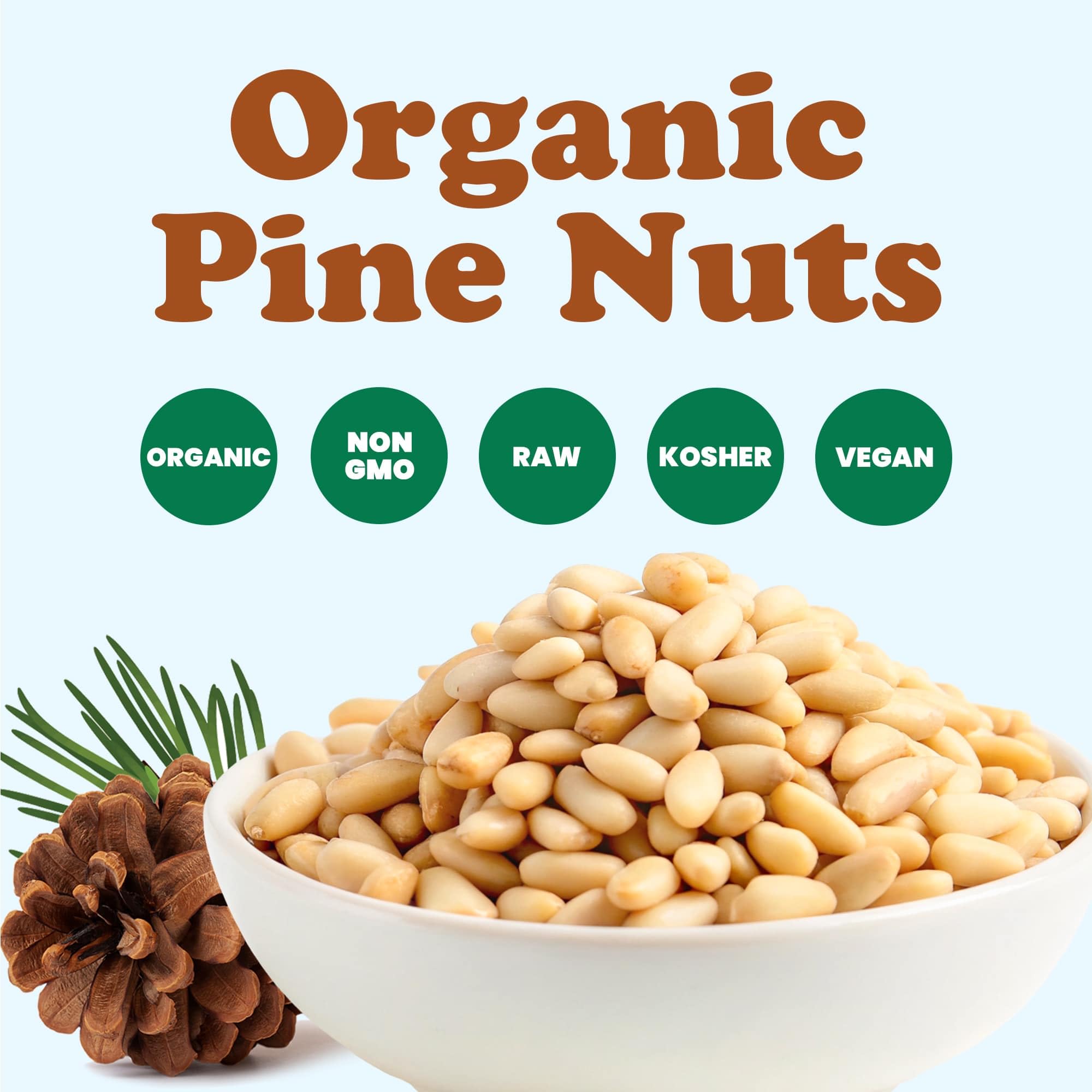 Food to Live Organic Pine Nuts, 18 Pounds - Non-GMO, Whole Raw Pignolias, Unsalted, No Shell, Vegan, Kosher, Bulk Snack. Rich in Vitamin E, Protein