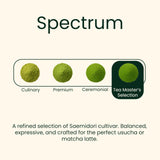 Heapwell Japanese Matcha - Premium & Ceremonial & AAA Grade Matcha Tea | Authentic Japanese Origin (1.05oz (30g), Ceremonial Grade)