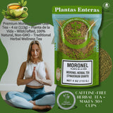 Premium Moronel Loose Leaf Tea - 4 oz (113g) - Planta de la Vida (Synadenium grantii) - Wildcrafted, 100% Natural, Non-GMO - Traditional Herbal