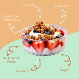 Apricot, Coconut, Almond Granola Clusters - 6 Pack of 4 oz Bags - Gluten Free Oats, High Protein, Low Sugar, Vegan, Dairy Free, Soy Free, Vitamin E