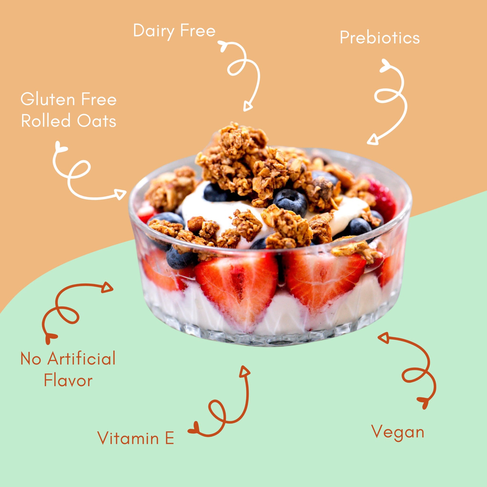 Apricot, Coconut, Almond Granola Clusters - 6 Pack of 4 oz Bags - Gluten Free Oats, High Protein, Low Sugar, Vegan, Dairy Free, Soy Free, Vitamin E