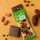 Bearded Brothers Organic Vegan Energy Bars - Gluten & Soy Free, Paleo, Whole 30 | Non GMO, Low Glycemic, High Protein, Fiber (12 Count (Pack of 1)