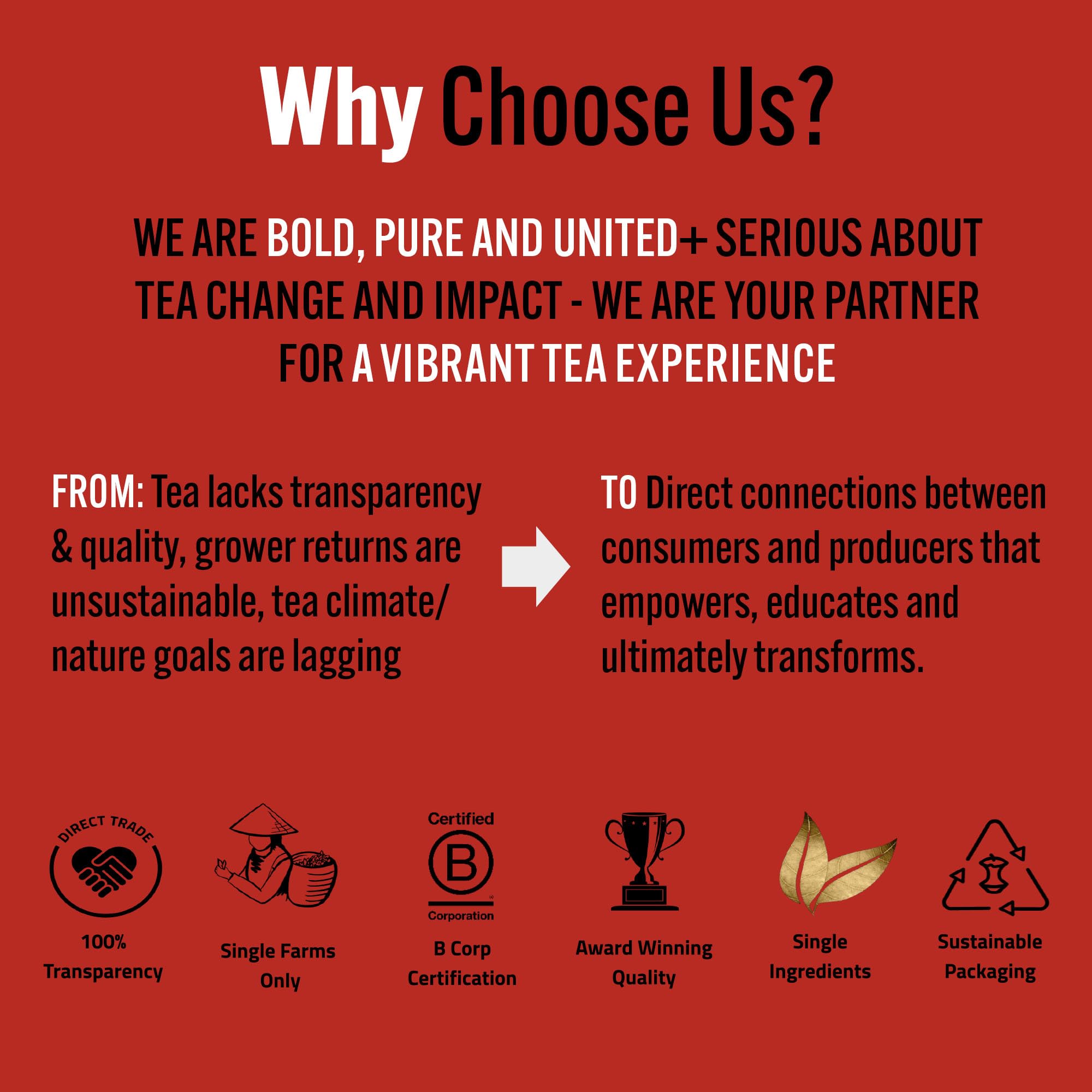 Tea Rebellion | Handpicked Red Hibiscus Herbal Tea | Vitamin-C Rich & Refreshing | Vibrant, Powerful, Refreshing | 30G Loose Leaf Tea