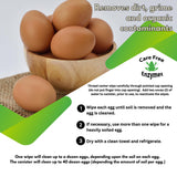 Care Free Enzymes Egg Wipes - 40 Count