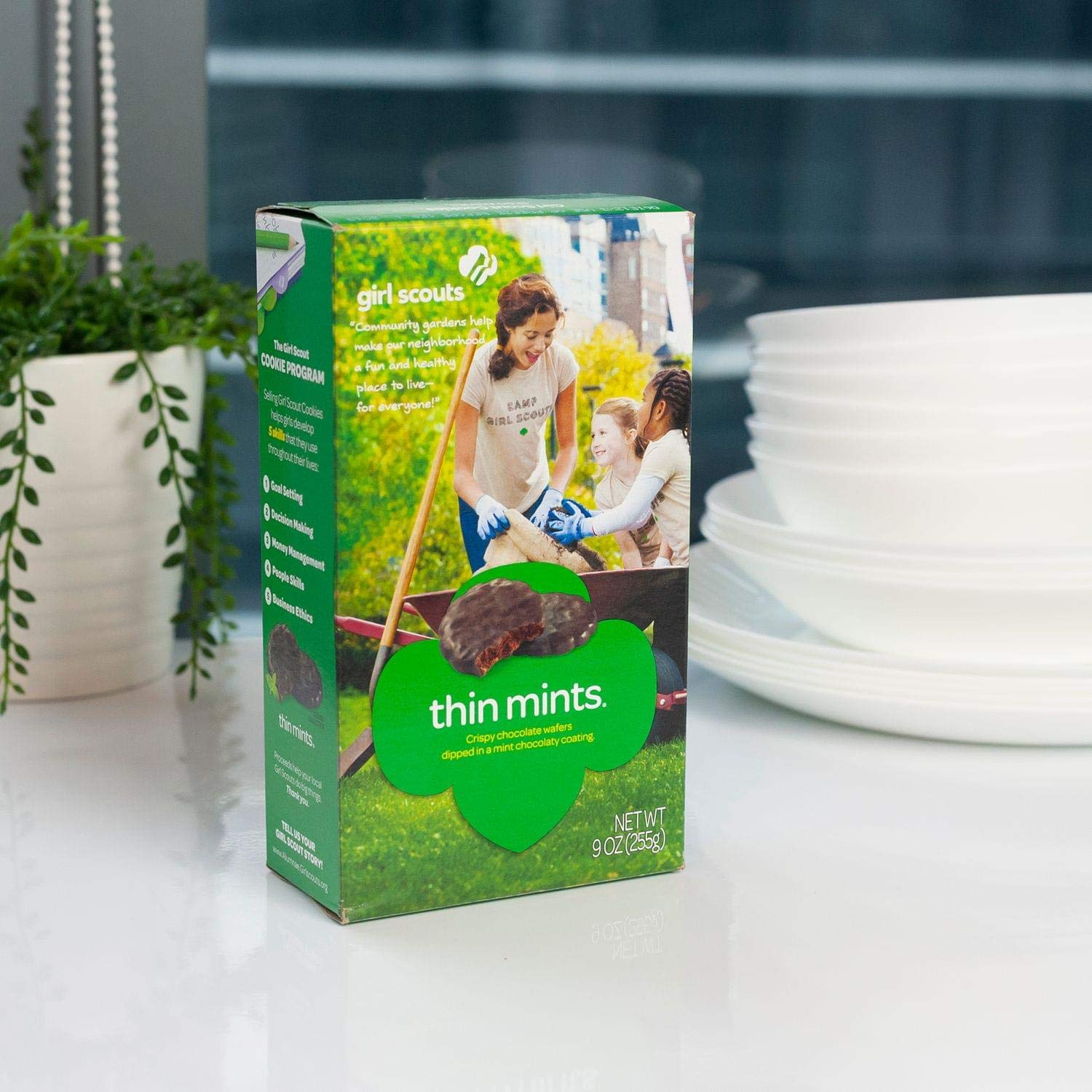 Girl Scout Thin Mints Cookies (32 per box)