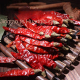 Zercumm Canned Dried Peppers Devil Pepper Super Spicy Super Spicy Dry Abnormal Spicy Pepper Bottled Devil Pepper Dry Goods Spicy