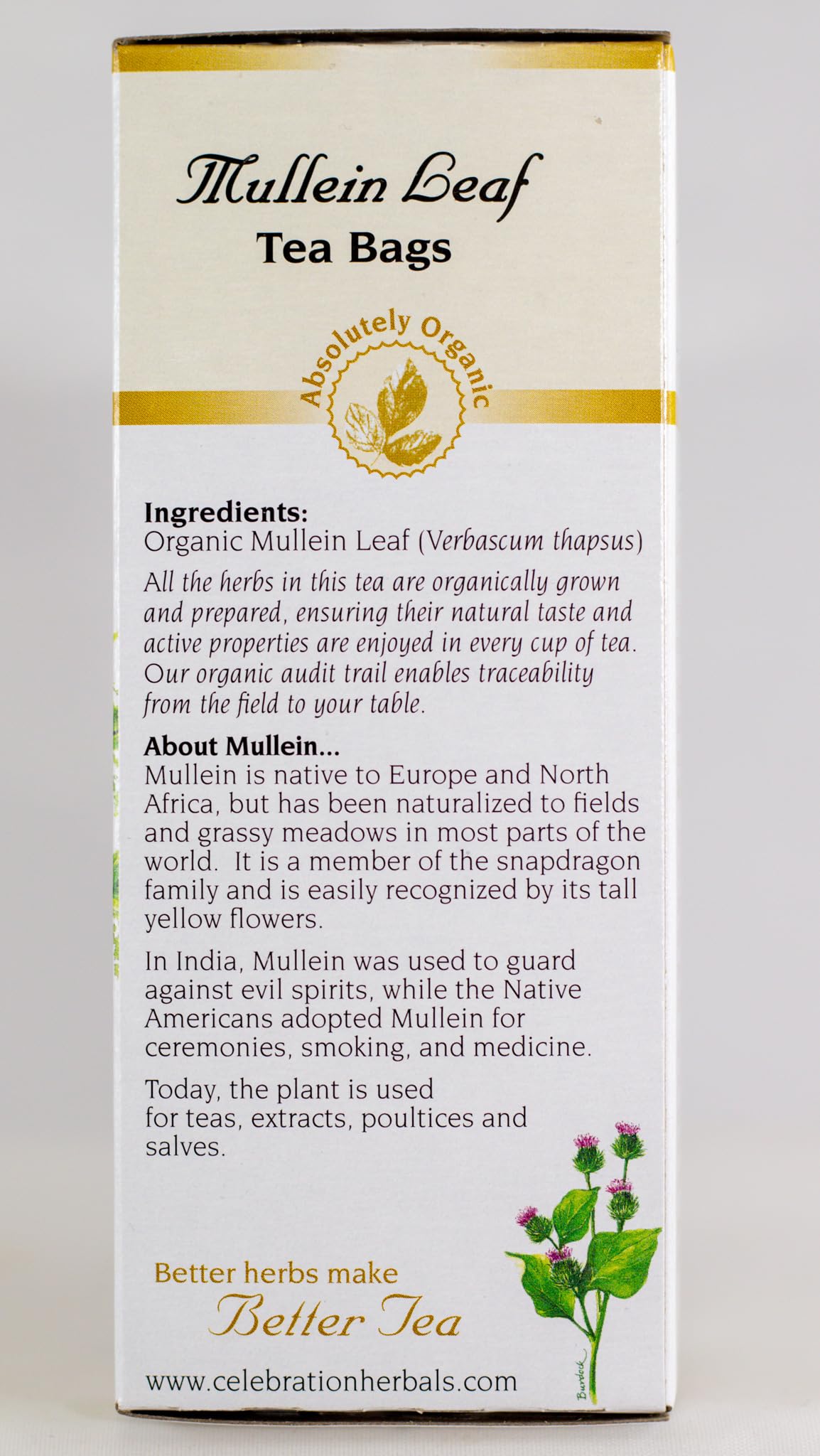 Celebration Herbals Organic Mullein Leaf Tea Bags 24 Count