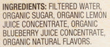Santa Cruz Organic Organic Blueberry Lemonade, 32 FZ