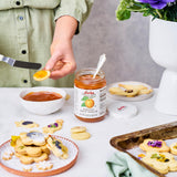 D’arbo All-Natural Apricot Fruit Spread, 16 oz (454g) | Crafted Tradition | Pure Fruit Flavor No Artificial Preservatives-Ensuring a Naturally Sweet