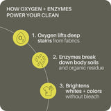 Everneat Bright Oxygen Bleach | Oxygen + Enzyme Booster with Phosphodiesterase | Non-Chlorine, Fragrance-Free, Refillable | Brightens Whites, Lifts