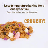 SODGHYTR - Chinese Granola Yogurt Nut Baked Cereal 320g/11.3oz Nutritional breakfast, low sugar, Congee,Dietary Fiber,Chinese Food,Comida China