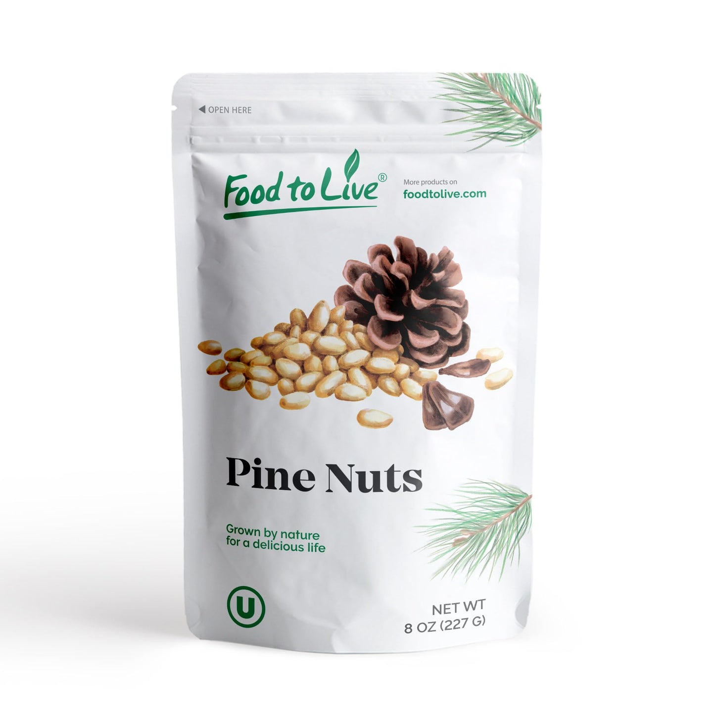 Food to Live Dry Roasted Pine Nuts, 8 Ounces- Naturally Tasty and Crunchy, Nutritious and Delicious, Perfect for Cooking, Baking and Snacking, Vegan