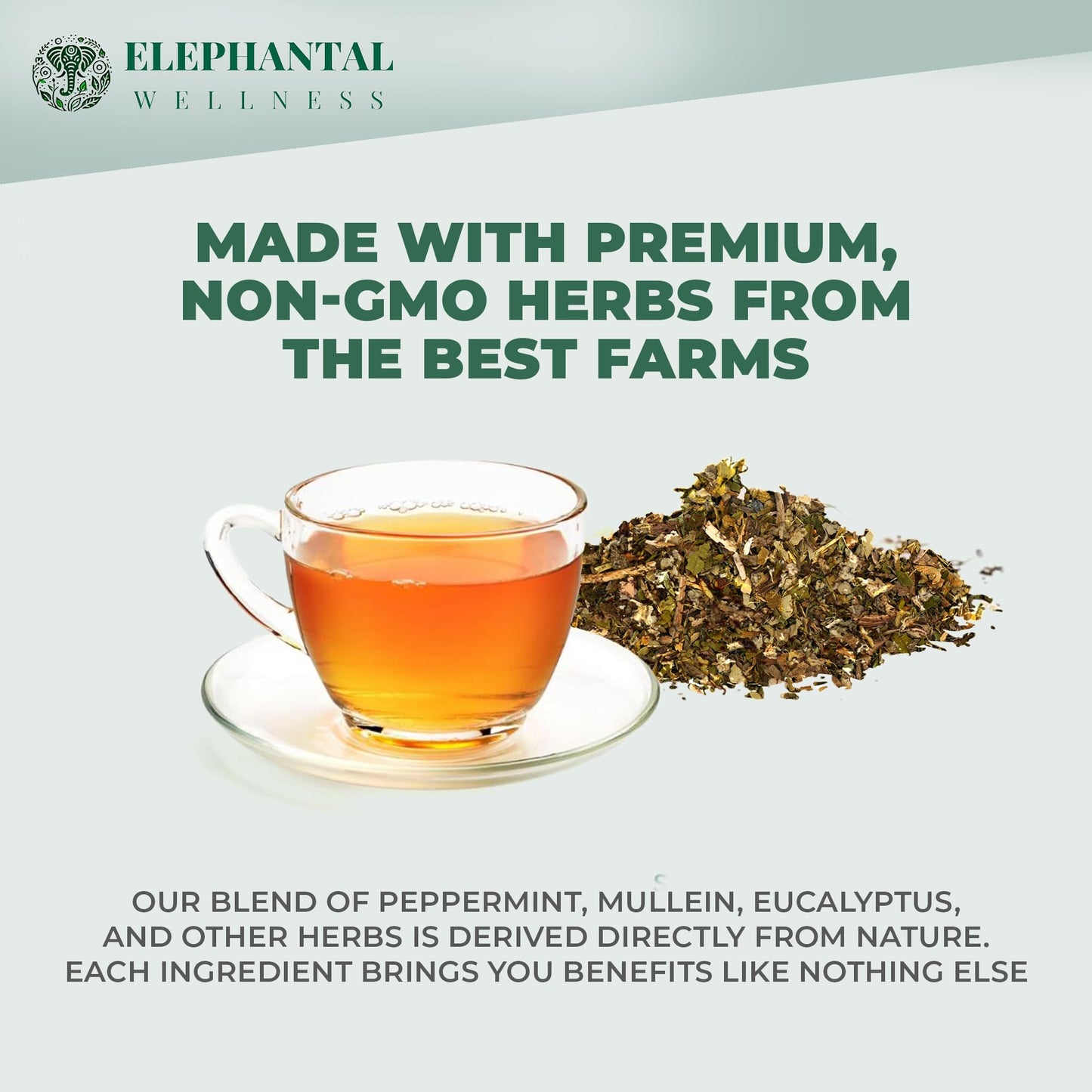 Elephantal Wellness Premium Respiratory Herbal Tea | Lung Detox, Mucus Cleanse & Breathing Support with Mullein, Eucalyptus, Thyme & Lungwort |