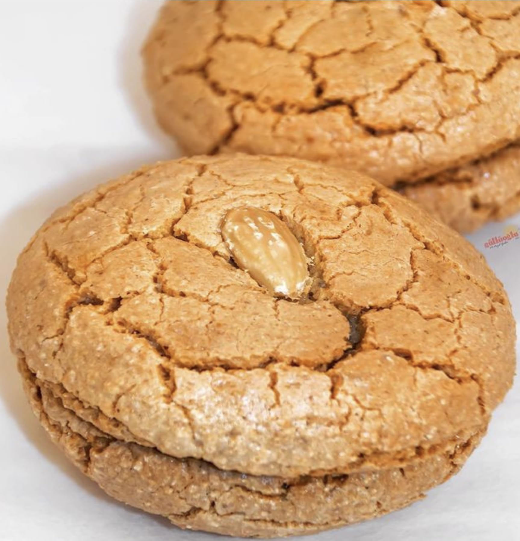 Gulluoglu Marzipan Cookie (turkish amaretti) 6 XL double pieces (total 1.65 lb -750 gr), daily fresh shipment from Istanbul/Turkey