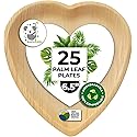 Disposable Palm Leaf Bamboo Tray and Oval Platter Disposable Charcuterie Boards Plates and Party Platters Trays Eco Compostable Wooden Food Platters