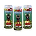 Dragon Ball Z Spirit Bomb Energy Drink Collectible Can Twelve Fluid Ounces Anime Beverage Official Licensed Goku Theme Caffeinated Refreshing Novelty