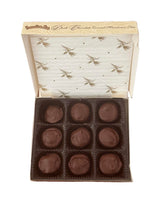 Hawaiian Sun Dark Chocolate Covered Macadamia Nuts - 9 Pieces (4 oz / 113 g)