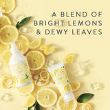 Thymes Lemon Leaf Laundry Fragrance Oil for Dryer - Scented Laundry Supplies (0.5 fl oz)