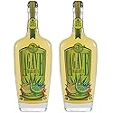 Premium Agave Margarita Mix (2-pack)