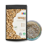 DFOLS Triticale Whole Grain Mild Nutty Wheat Rye Flavor for Cooking 0.55lb 8.82oz (250g) Premium Quality ???????