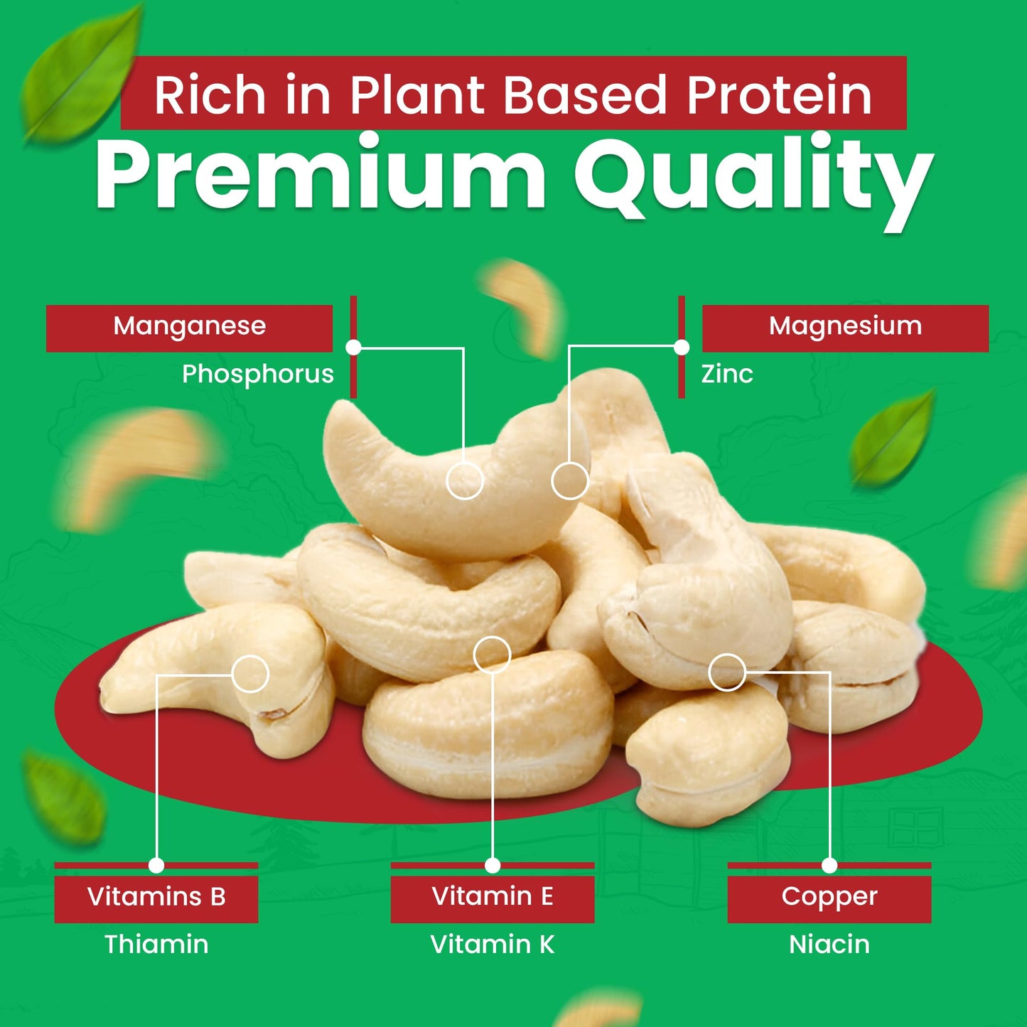 Raw Whole Unsalted Cashews - 5 lbs.- Premium Quality Kosher Raw Cashews By We Got Nuts - Oil-Free Natural, Healthy & Diet-Friendly Snack - Gourmet