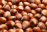 Freshly Harvested American Grown Raw In-shell whole Hazelnuts Filberts Large (3)