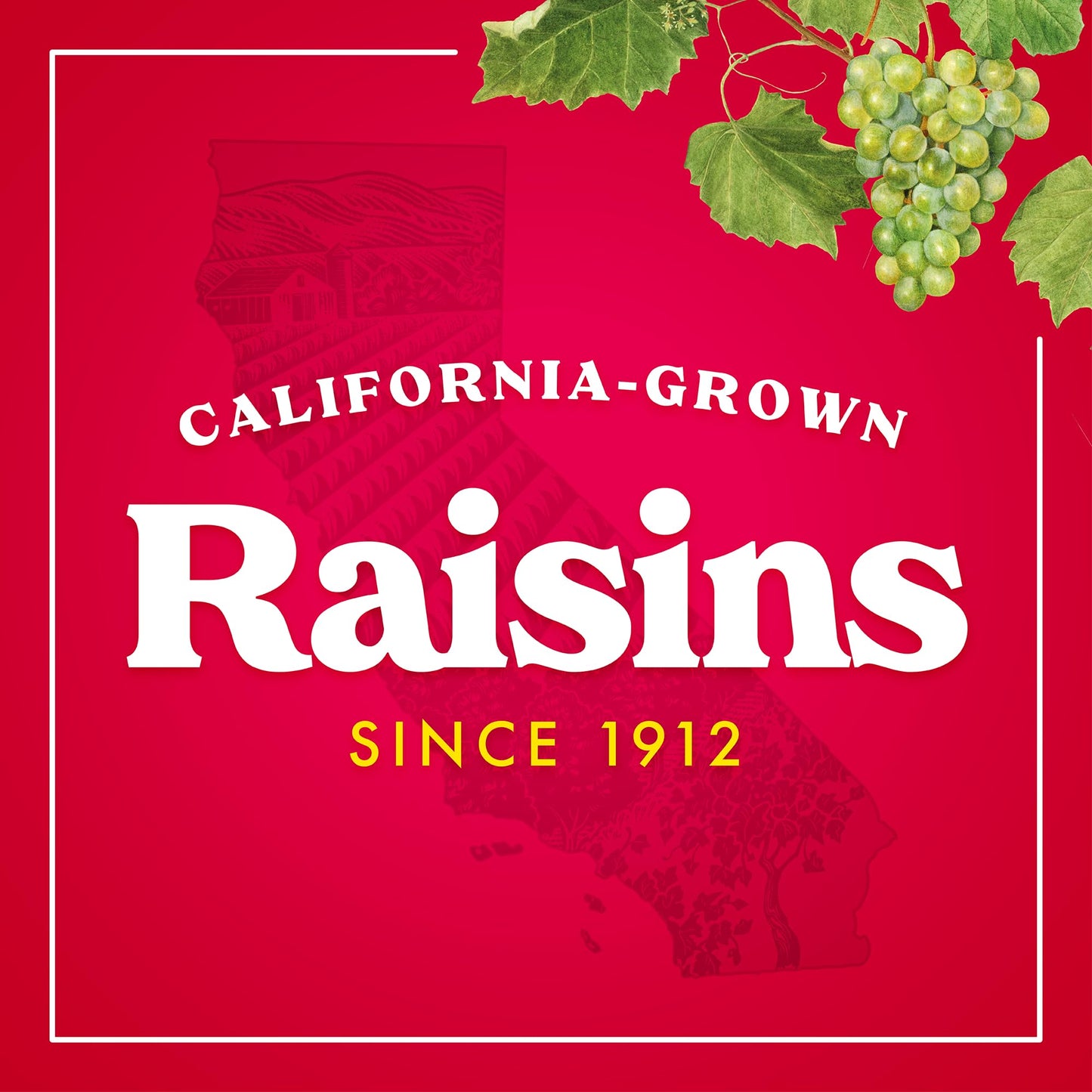 Sun-Maid Organic California Sun-Dried Raisins - (2 Pack) 32 oz Resealable Bag - Organic Dried Fruit Snack for Lunches, Snacks, and Natural Sweeteners