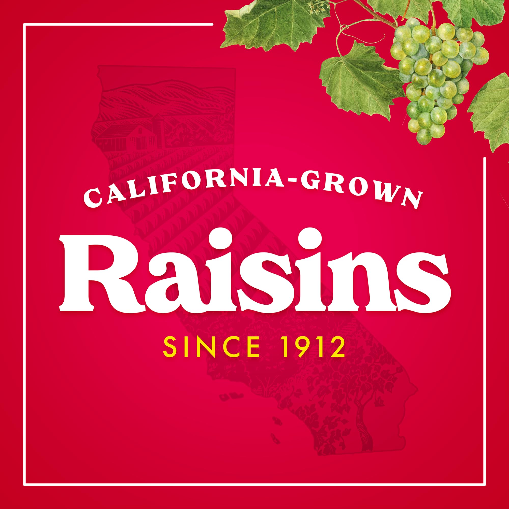 Sun-Maid California Sun-Dried Raisins - (2 Pack) 32 oz Resealable Bag - Dried Fruit Snack for Lunches, Snacks, and Natural Sweeteners