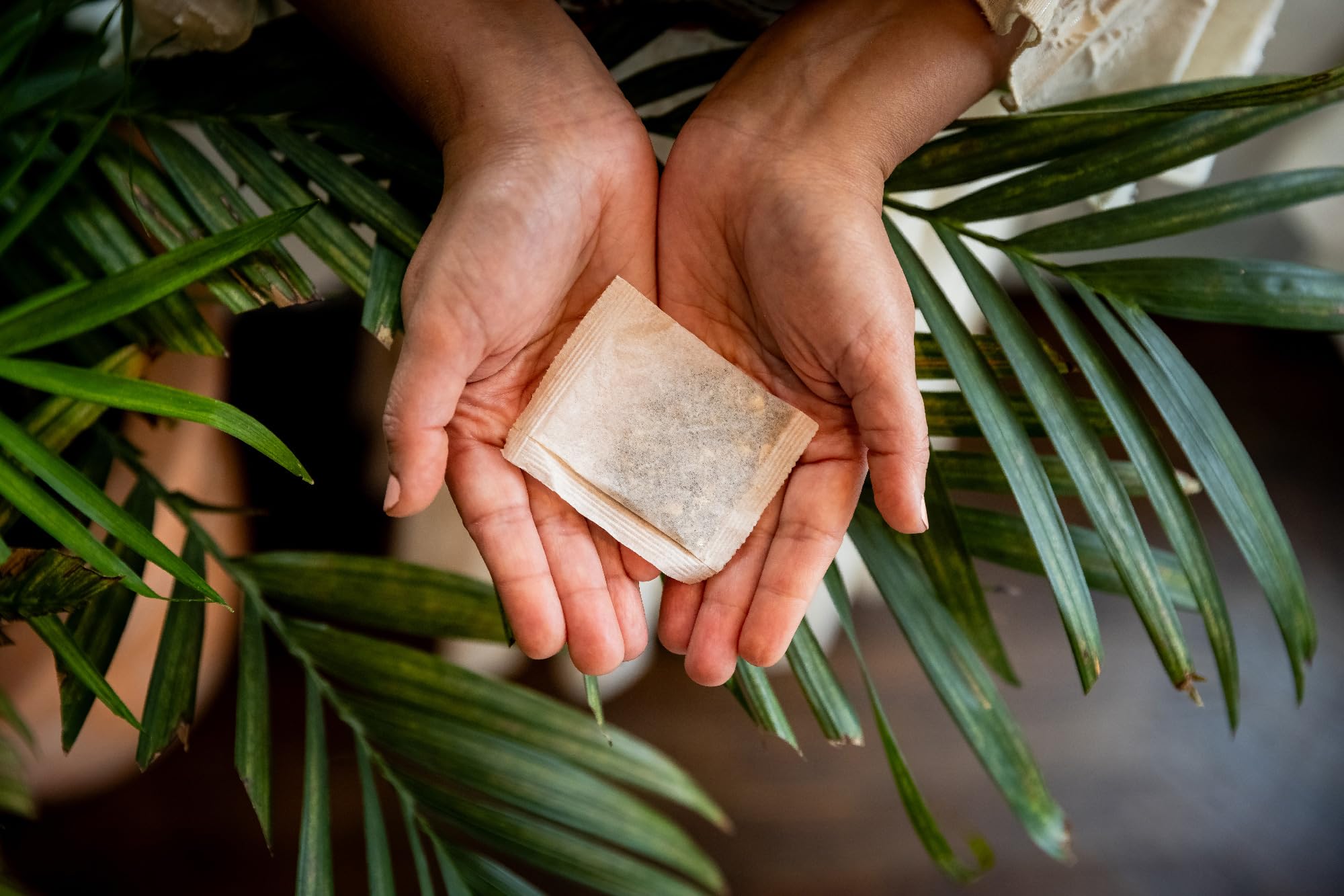 Cup It Cool | Organic Herbal Tea with Rose, Fennel, Coriander seeds, Cardamom, Licorice Root | Compostable, No Micro Plastics Tea bags | Caffeine Free