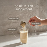 Blueprint Bryan Johnson Vegan Protein Meal Replacement - Plant Based Hemp Protein with 30g Protein Per Serving - Low Calorie, Chai Flavored Protein